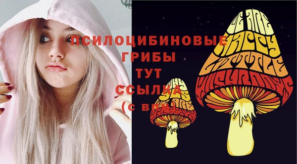 соль ск Алзамай