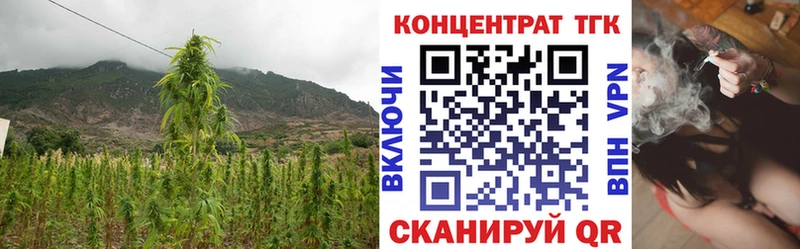 ТГК THC oil  MEGA   Ардатов 