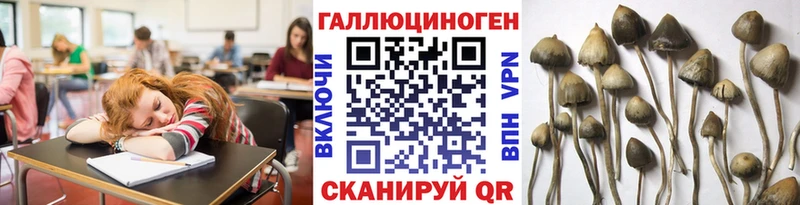 Псилоцибиновые грибы MAGIC MUSHROOMS  Ардатов 