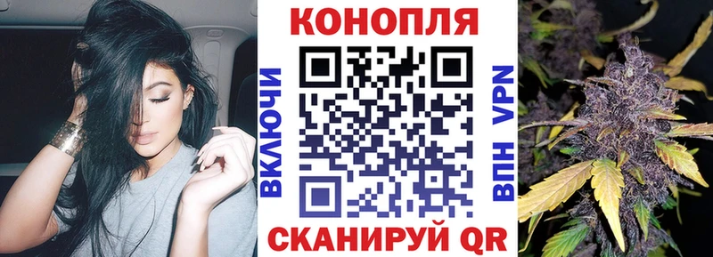Бошки марихуана OG Kush Ардатов