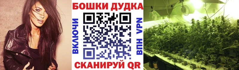 МАРИХУАНА SATIVA & INDICA Ардатов